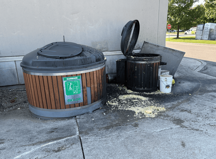 choice mississauga molok clean up 1[66]